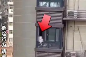 8月11日，陕西西安一小女孩欲翻出10楼窗外，对面住户看到后，狂吼5分钟劝回。#正能量视频封面