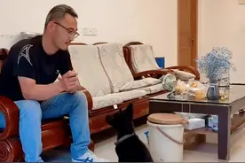 五分钟让你明白响片的作用以及正确使用方法。你一样可以成为一名训犬高手，快来试试吧。#训犬教学 #抖音小助手视频封面