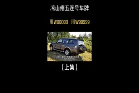 川W00000--川W99999都在那些车上#靓号牌照 #霸气出场 #豪车欣赏 