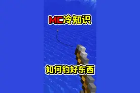 我的世界冷知识，钓鱼竿如何钓到好东西？#我的世界 #我的世界冷知识 #冷知识 #我的世界小知识 