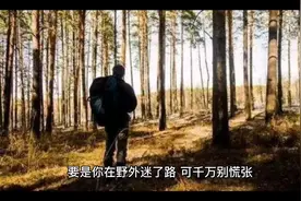 二年级语文下册《要是你在野外迷了路》，你学会用“天然的指南针视频封面