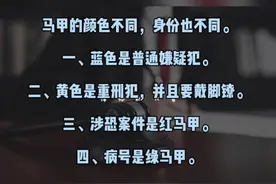 看守所里马甲的不同颜色代表着什么呢？#看守所 #法律 视频封面