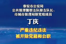 泰安市公安局公共管理警察支队原支队长视频封面