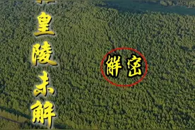 秦始皇陵探测有重大发现，地下有九层建筑的高楼，封土被挖上万个小洞，地宫物品保存完好#秦 #秦陵地宫 #陕西 #陕西美好推荐官 #历史 #中国历史 #本地美好推荐官 #嬴政 @DOU+小助手 #咸阳 视频封面