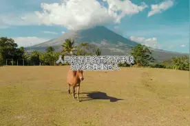 人只能是目的而不是手段所以要尊重他人罗翔#历史 #人生导师视频封面