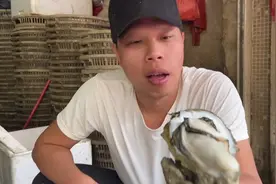 生蚝一年当中最肥的时候是在过年前后这段时间视频封面