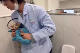带猫咪去体检#猫咪打针 听它的叫声都撕心裂肺的，叫的好惨