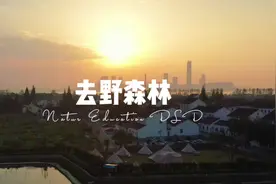 森林里的孩子，不会迷路#女飞手陈茉莉 #童年#野趣视频封面
