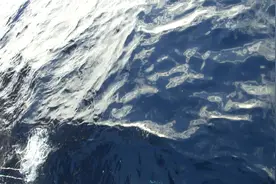 南油海钓历史视频【十年前的开心号】11、大鱼跑了。视频封面