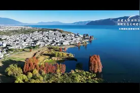 共建大理国际湿地城市，共筑生态文明建设新篇章 #湿地城市视频封面