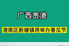 港南区新塘镇将举办香瓜节 #农业种植  #贵港视频封面