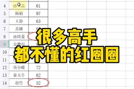 很多高手都不懂的红圈圈#WPS #WPS表格技巧 #WPS办公教学 视频封面