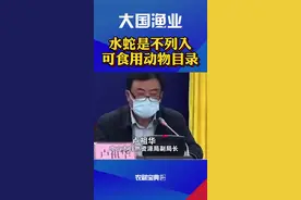 水蛇不列入可食用动物目录，人工繁殖甲鱼可食用#农业 #水蛇 #甲鱼 #人工繁殖 #鱼 @抖音短视频视频封面