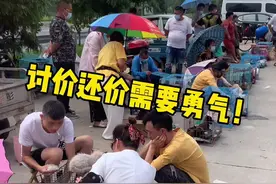 粉丝让我找的便宜#布偶猫 今天他来了#宠物市场 #猫 #喵星人 #金渐层 #银渐层 #蓝猫 #英短 #美短