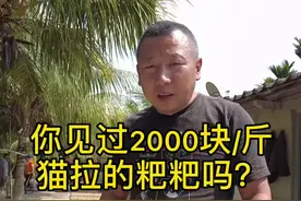 海南 猫拉的粑粑2000一斤，你见过这么贵的猫屎吗？@DOU+小助手 #海南视频封面