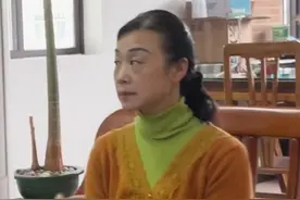 《绝对的权力》#琼娘娘 #周云吞被嫌弃的一生视频封面