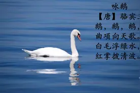 一年级必背古诗，今天王老师给大家讲解范读的是骆宾王的《咏鹅》视频封面
