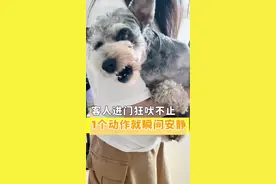 #创作灵感 如何让狗不吠？客人进门狗狗就狂吠不止，训犬师一个动作它就瞬间安静了#训犬 #科学养宠 #狗狗