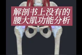 腰大肌功能解剖分析 #创作灵感 #运动解剖 #运动康复