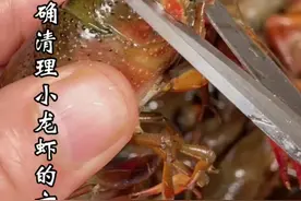 最正确清理小龙虾的教程。这样做吃了才放心。你学会了吗 #春日美食大赏 #跟着抖音学做菜 #抖音春光正当时#懒人快手菜 #春天变美从吃开始视频封面