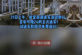 好消息！#成宜高速31日晚通车，试通车阶段免费通行！👏 #想见你2021 #在这里dou进2021视频封面
