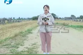 河南巩义：千年石像守护着皇陵，成为农民的“麦田守望者” #皇陵 视频封面