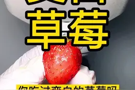 草莓变白还能吃吗？我们看实验，仔细看！#健康 #草莓视频封面