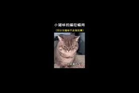 小猫咪的尴尬瞬间！原来小猫咪也会打嗝啊#猫咪成精 #评论区看看你们的猫视频封面