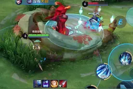 为何我的惩戒是一个单位？#王者 #细节操作 #赵云 #游戏中的扎心一幕 #惩戒 #这操作都看傻了