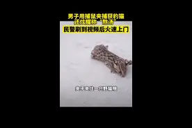 男子用捕鼠夹捕获豹猫还炫耀称“熬汤” 民警刷到视频后火速上门  #豹猫 #心疼 @抖音短视频 