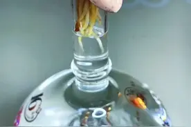 嗨，你们要的银杏视频来啦😀#盘它 #爱生活爱养花视频封面