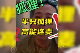 单手压枪M249，KDA天花板半只狐狸连麦名场面，节目效果拉满！视频封面