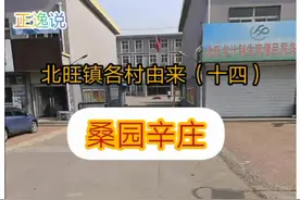 北旺镇各村由来（十四）《桑园辛庄的由来》#廊坊 #北旺镇视频封面