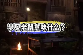 梦见老鼠有何意味？(第1期)#梦 #传统文化视频封面