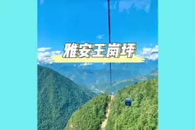 这个夏天的清凉是它给的，直面贡嘎真的一整个爱住视频封面