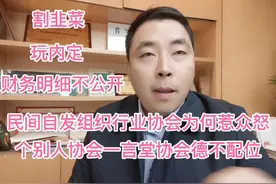 为什么民间自发组织成立的行业协会为何惹众怒视频封面