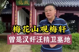 南京梅花山观梅轩，曾是汉奸汪精卫墓地 #旅行大玩家 #抖音搜索流量来了 #明孝陵 #梅花山  #飞哥说南京  #文化旅游 #南京历史 #紫金山 视频封面