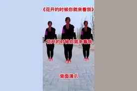 《花开的时候你就来看我》32步#曳步舞#广场舞#花开的时候你就来看我32步@抖音短视频
