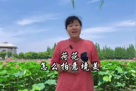 荷花怎么拍意境美，建议按这样的方法学习拍出唯美#手机摄影视频封面