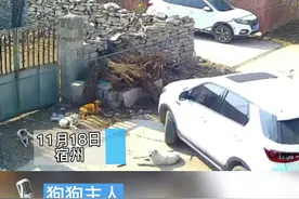 @用户996450 从狗主人主页看得出是个爱狗人士，碾到狗狗纯属意外视频封面