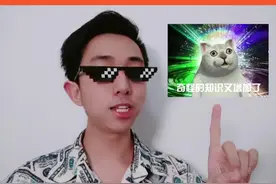 #表情包 总是对猫猫情有独钟#憨憨猫 #mur猫