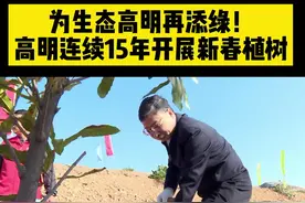 高明区几套班子领导与区直部门及明城镇的60余名干部职工，为助力佛山建设粤港澳大湾区高品质森林城市添绿增彩。视频封面