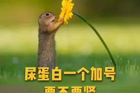 尿蛋白一个加号，要不要紧#2019生机大会 #清风计划 #时间的托付 @南方健康视频封面