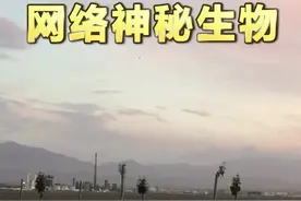 #野生鸟类 #神秘生物 云南大理的黑翅鸢@无穷小亮的科普日常@DOU+小助手视频封面