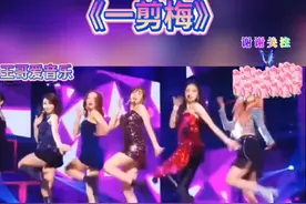 抖音火爆神曲DJ《一剪梅》真情像梅花开过，冷冷冰雪不能淹没视频封面