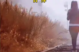 #潮湿的心 原唱 #甘萍 完整版，#怀旧经典 #情感音乐分享 视频封面