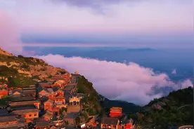 #泰山#海棠花视频封面
