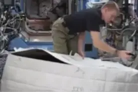 #开宇宙玩笑， #NASA宇航员伪装成猩猩整蛊视频封面