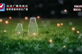 诗歌欣赏-萤火虫视频封面