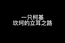 论一只柯基立耳的大起大落#柯基 #萌宠 #家有傻狗 @DOU+小助手视频封面